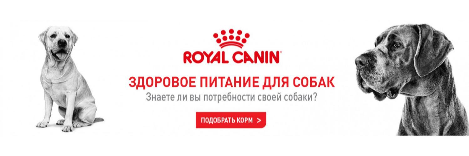 Royal Canin - забота о здоровье вашей собаки!