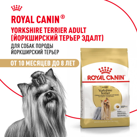 Royal Canin Yorkshire Terrier Adult сухой корм для собак породы йоркширский терьер 