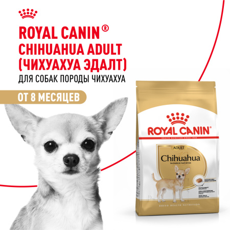 Royal Canin Chihuahua Adult сухой корм для собак породы чихуахуа