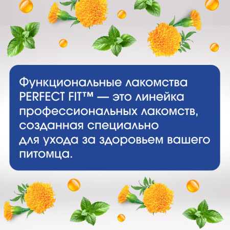 Перфект фит лак. д/собак здоровье зубов и полости рта с говядиной 90г