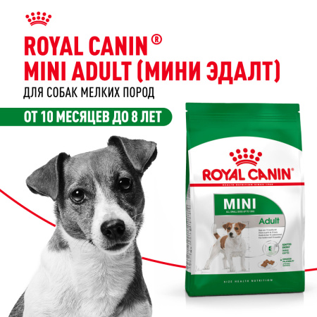 Royal Canin Mini Adult сухой корм для собак мелких пород