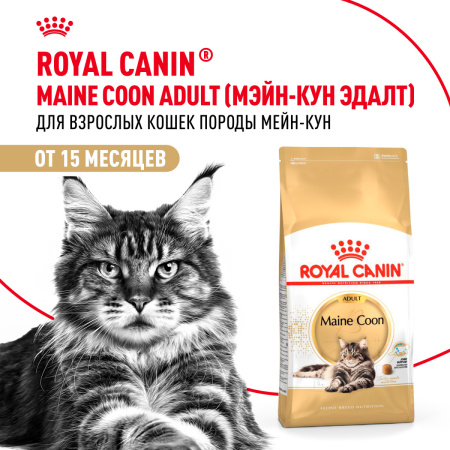 Royal Canin Maine Coon Adult сухой корм для кошек породы мейн-кун старше 15 месяцев