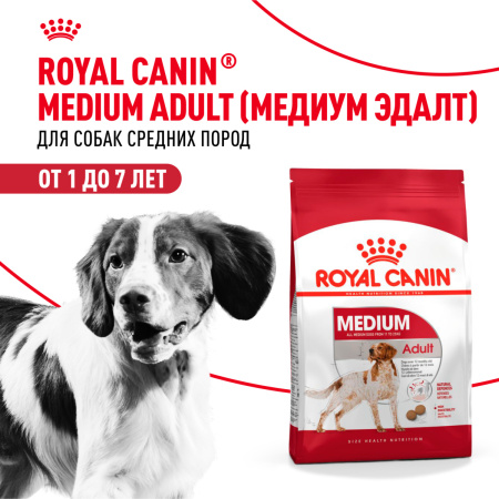 Royal Canin Medium Adult сухой корм для собак средних пород