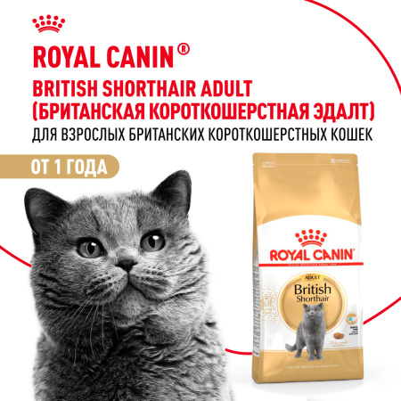 Royal Canin British Shorthair Adult сухой корм для британских короткошерстных кошек